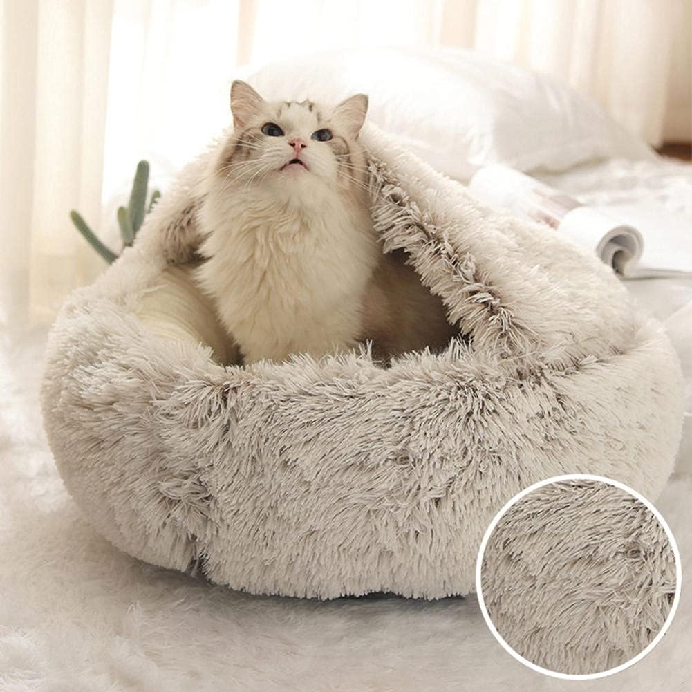 Paw’s Paradise