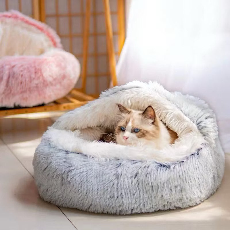 Paw’s Paradise
