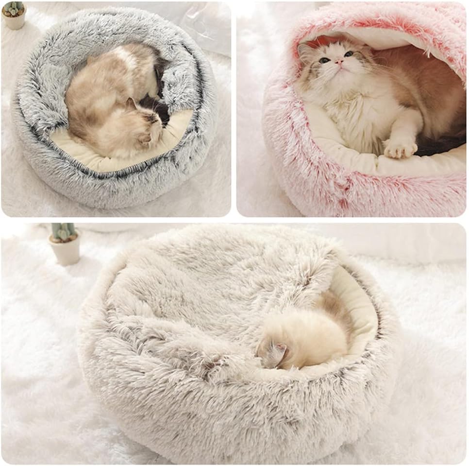 Paw’s Paradise