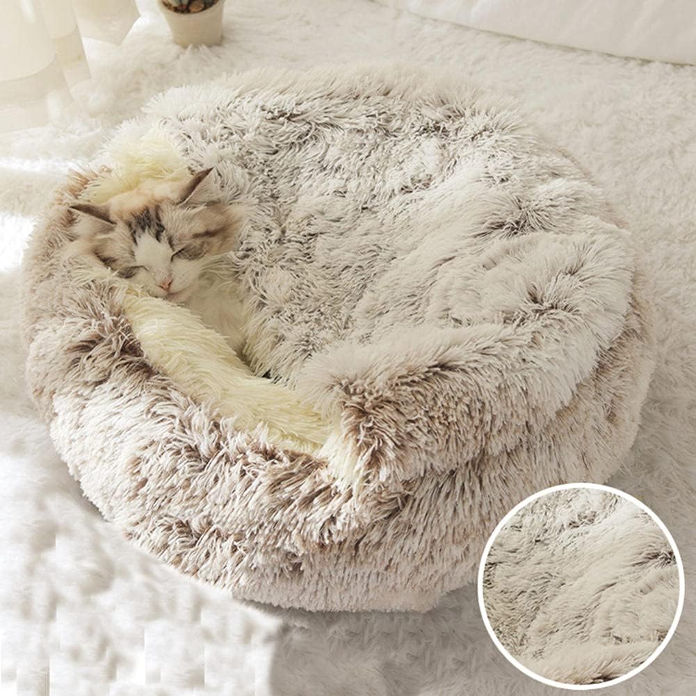 Paw’s Paradise