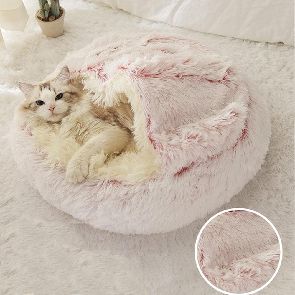 Paw’s Paradise