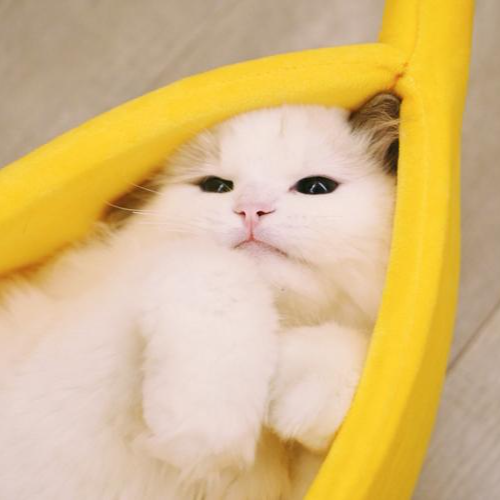 Warm Banana Shaped Dog Cat Bed Cozy Basket Puppy Kittens Cushion Kennel Portable Pet Sleeping Mat Bed Cats Supplies
