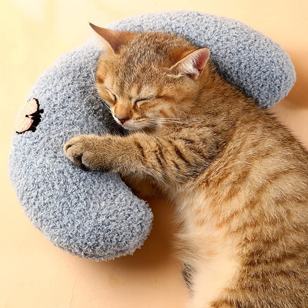 Paw's Dream Loop