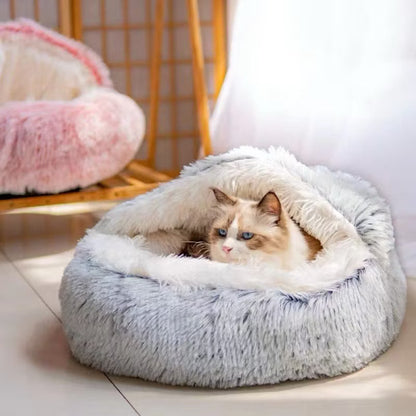 Paw’s Paradise