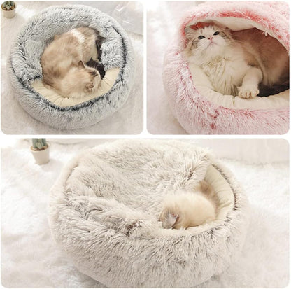 Paw’s Paradise