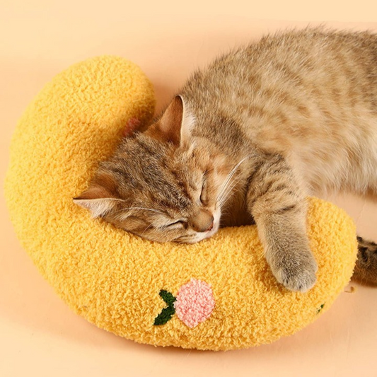 Paw's Dream Loop