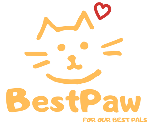 BestPaw